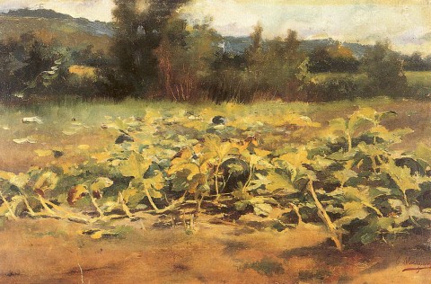 Paisaje
