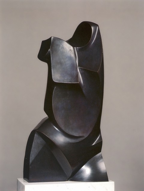 Torso